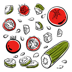 Tomatoes, cucumbers, seeds. Salad ingredients, chopped, sliced. Colorful sketch of vegetables isolated on white background. Doodle hand drawn vegetables. Vector illustration