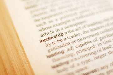 The definition of the word leadership in dictionary	