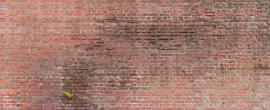 Backsteinwand bestehend aus roten Ziegeln in hoher Aufl&ouml;sung