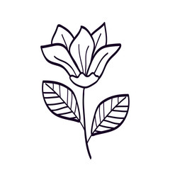cute flower with branch and leafs line style icon vector illustration design