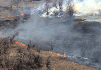 White smoke from an extinguished fire in a burnt meadow. A field with burnt grass. Fading tongues...