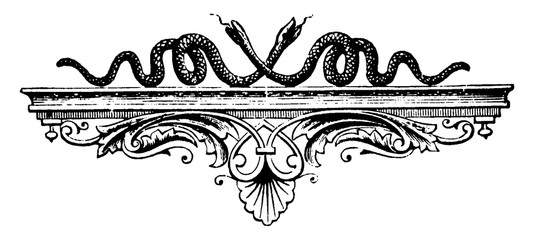 Snakes on shelf have a good arrangements or artwork, vintage engraving.