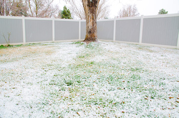 grass and snow, Spring, Spring snow, backyard, tree, Maple Tree, fence, backyard fence