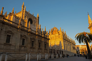 Fototapeta na wymiar Catedral de Sevilla al atardecer desde la calle Fray Ceferino González