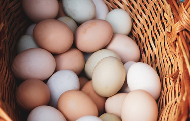 multicolored chicken eggs in a wicker basket