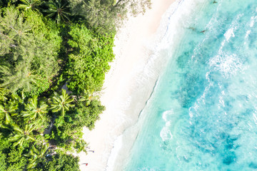 Fototapeta na wymiar Seychelles aerial photo Takamaka beach Mahe island nature vacation paradise ocean drone view