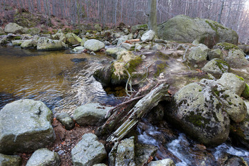 North Bohemia forest Landscape with its Boulders and Trees, Jizera Mountains, Czech Republic