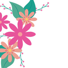 cute flowers pink with branches and leafs vector illustration design