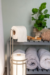 Toilet paper dispenser in home bathroom