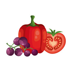 fresh grapes with pepper and tomato vector illustration design