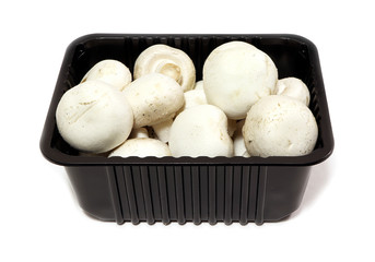White mushrooms champignon isolated on a white background.