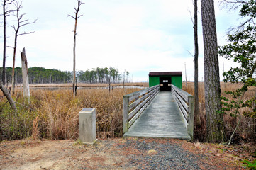  Blackwater Wildlife Nature Reserve - a Bird, Wildlife and Flora Sanctuary on the Maryland Eastern Shore