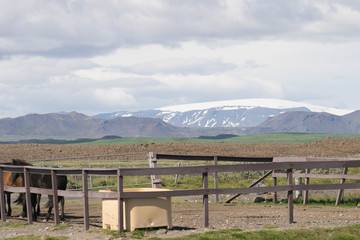 Fototapeta premium Iceland