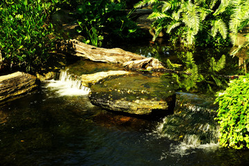 Cascade of candor in greenery garden