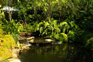 Waterfall to a pond in greenery garden