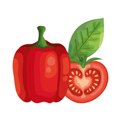 fresh tomato with pepper vegetables isolated icons vector illustration design