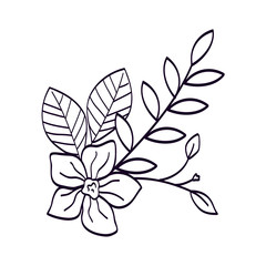 Fototapeta premium cute flower with branches and leafs line style icon vector illustration design