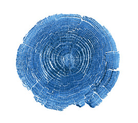 Monotone blue cut wood texture. Detailed flat background of a felled tree trunk or stump. Rough organic tree rings with close up of end grain.