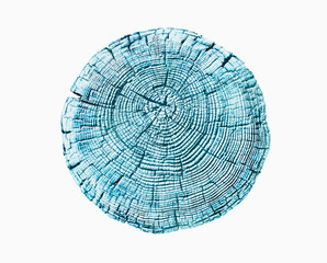 light blue cut wood texture. Detailed cracked impression of a felled tree trunk or stump.