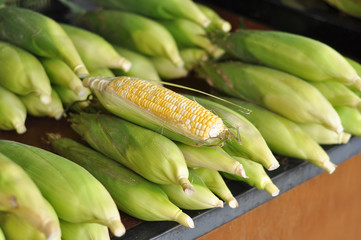 close up fresh sweet corn 