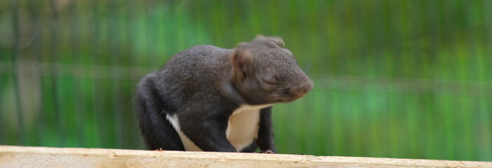 ブルブルッ　スローシャッター