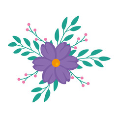 Fototapeta na wymiar cute flower purple color with branches and leafs vector illustration design