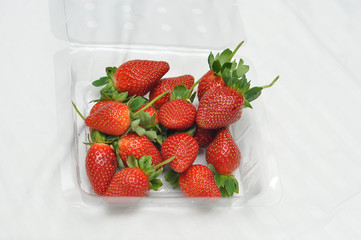 freash strawberry in packed