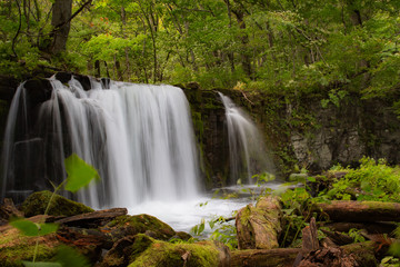 Oirase Stream Aomori City Japan