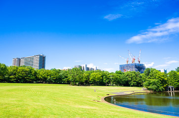 青空が広がる住宅地の公園