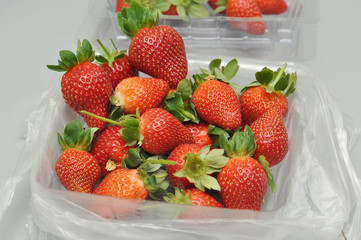 freash strawberry in packed