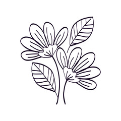 cute flowers with branches and leafs line style icon vector illustration design