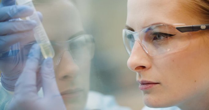 scientist analyzing tubes at laboratory