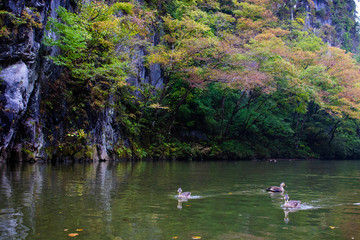 Geibikei Gorge, Iwate Prefecture Japan