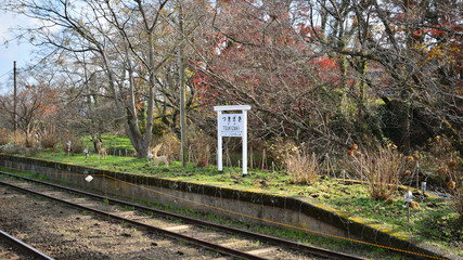 月崎駅、小湊鉄道