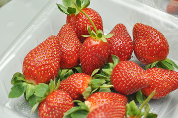 freash strawberry in packed