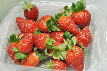 freash strawberry in packed