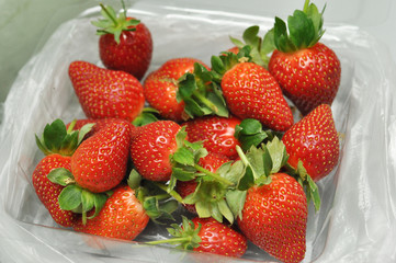 freash strawberry in packed