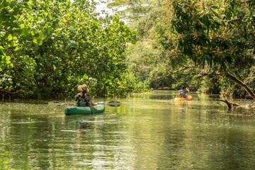 Fototapeta na wymiar Visitors paddling kayaks on a calm river with trees line both banks, leaves in the water, Wailua River, Kauai, Hawaii