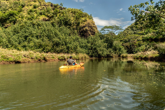 Man, Paddling An Orange Kayak On An Open River Valley With Trees Line The Bank And Puffy Clouds In The Sky, Wailua River, Kauai, Hawaii