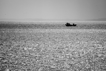 Barco en el mar blanco y negro