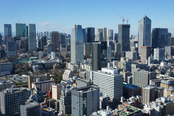 Fototapeta premium 東京 2020年 景色 展望 展望台 俯瞰 遠景 昼間 快晴 青空