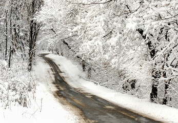 winter road in indiana