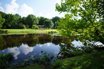 Fototapeta na wymiar Afternoon by the Pond