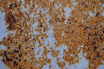 Old paint on rusty metal for a backdrop. Cracks, swelling, peeling. Primary colors - Echo Blue, Peru Tan, Temptress.