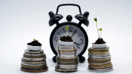 Time is money concept, plants growing on coins with clock on background, fast money grow, increase