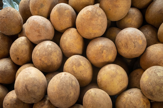Sapodilla or Ciku