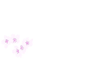 水彩風の桜の花、白背景