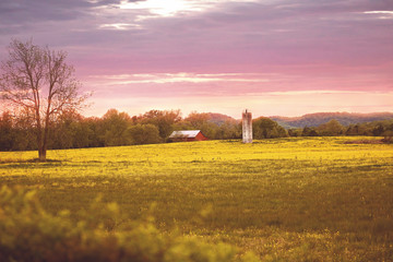 Obraz premium red barn yellow field