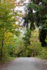 Obraz premium Concept of outdoor activities. Trail walking. Hiking in Canada in the Fall.