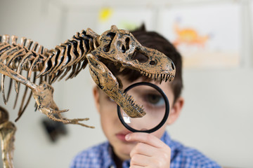 A school boy looking at a dinosaur model through a magnifying glass